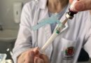 87 milhões de doses: após reverter queda, Paraná alcança maior índice de vacinação da década 87 milhões de doses: após reverter queda, Paraná alcança maior índice de vacinação da década