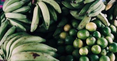 Pinhais recebe intercâmbio para fortalecer estratégias de transição agroecológica no Brasil