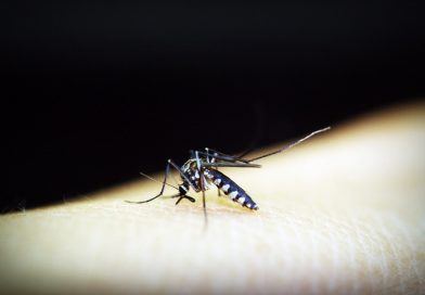 Carnaval reforça cuidados para prevenção da dengue